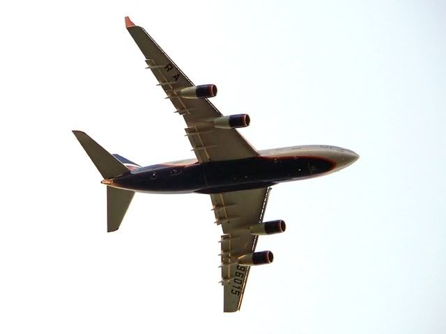 P1180581.jpg