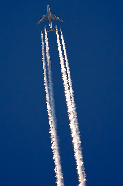 6553434643_f2d52a3682_z.jpg