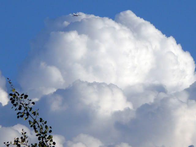 P1180586.jpg
