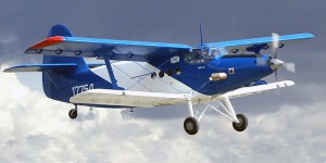 1-300x150.jpg
