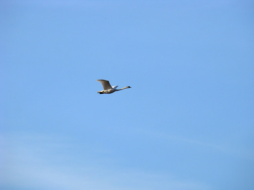 3305590099_ca9c5c4097.jpg